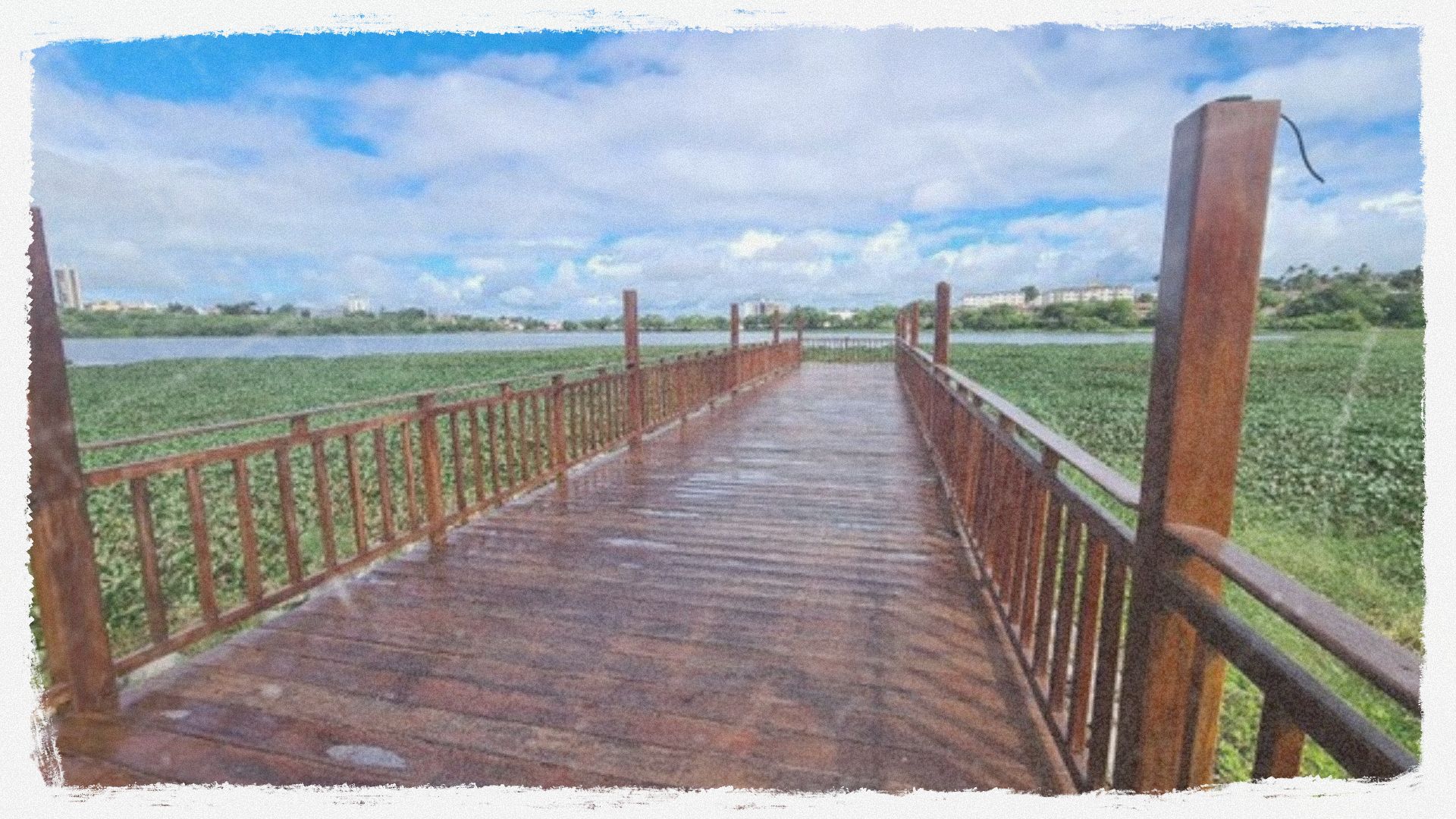 Irrigação e paisagismo do Parque Bodocongo - Campina Grande_PB (3)